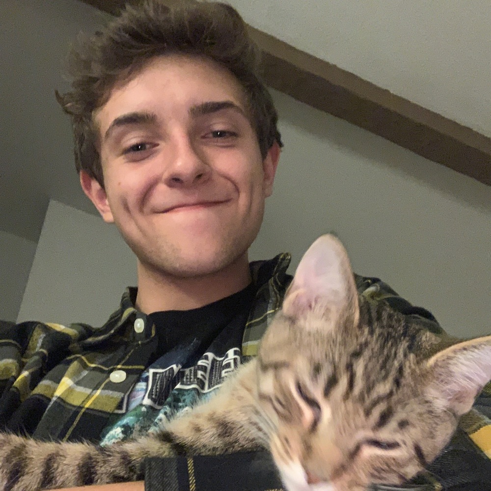Meet your Posher, Dalton